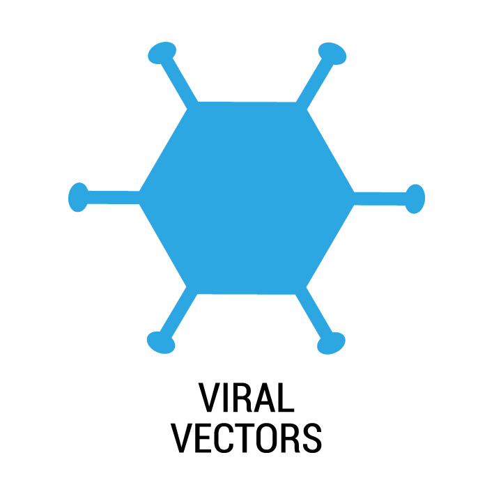 3-viral vector | KDBIO - Distributor for the FiberCell Systems hollow